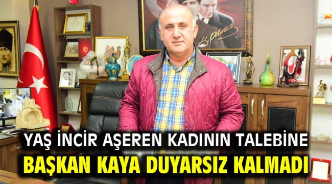 Yaş incir aşeren kadının talebine Başkan Kaya duyarsız kalmadı