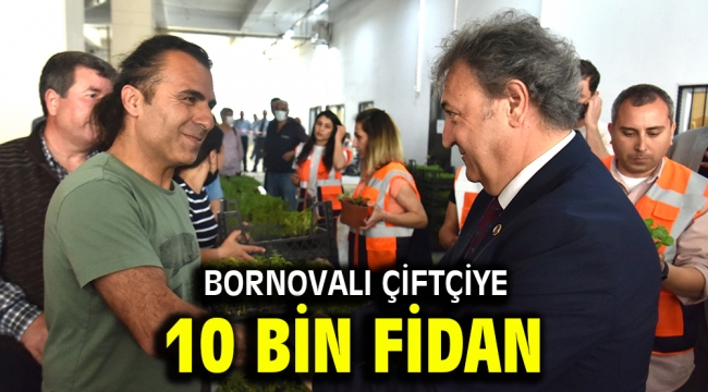 Bornovalı çiftçiye 10 bin fidan