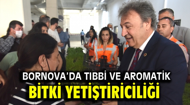 Bornova'da Tıbbi ve Aromatik Bitki Yetiştiriciliği