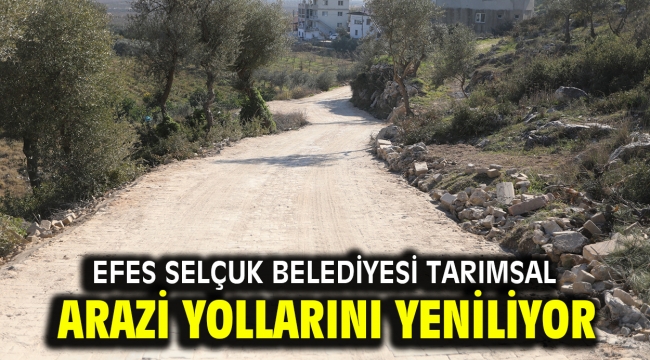 Efes Selçuk Belediyesi tarımsal arazi yollarını yeniliyor