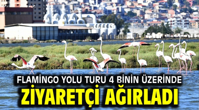 Flamingo Yolu turu 4 binin üzerinde ziyaretçi ağırladı