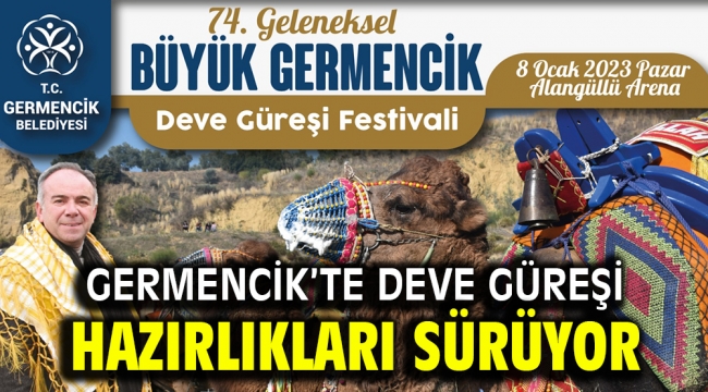 Germencik'te deve güreşi hazırlıkları sürüyor