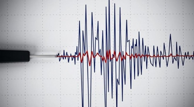 Kuşadası Körfezi'nde korkutan deprem!