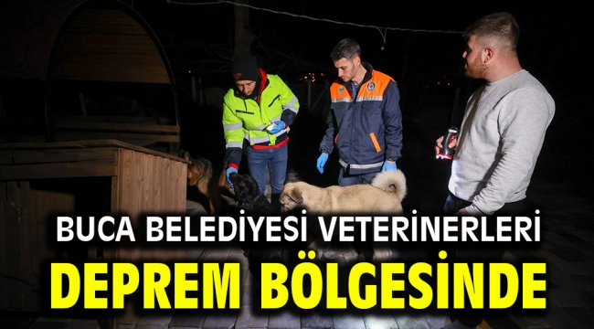 Buca Belediyesi veterinerleri deprem bölgesinde