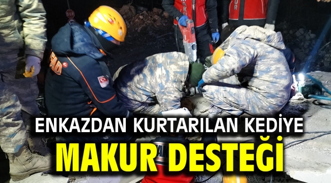 Enkazdan Kurtarılan Kediye MAKUR Desteği