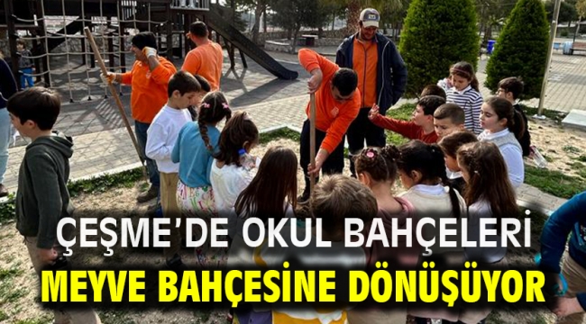 Çeşme'de okul bahçeleri meyve bahçesine dönüşüyor