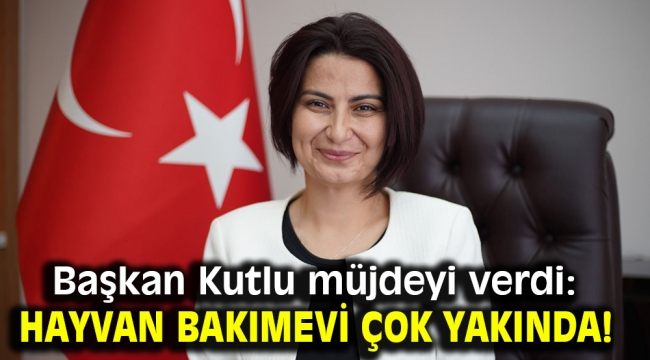 Başkan Kutlu müjdeyi verdi: Hayvan bakımevi çok yakında!