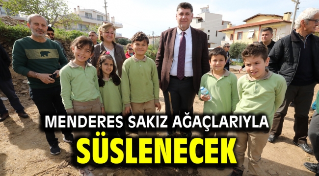 MENDERES SAKIZ AĞAÇLARIYLA SÜSLENECEK