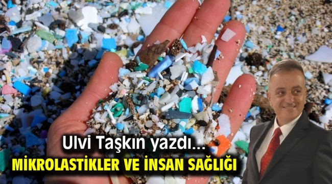 Mikrolastikler ve İnsan Sağlığı