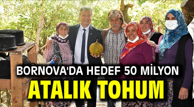 Bornova'da hedef 50 milyon atalık tohum