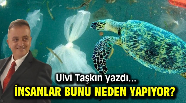 İnsanlar bunu neden yapıyor?