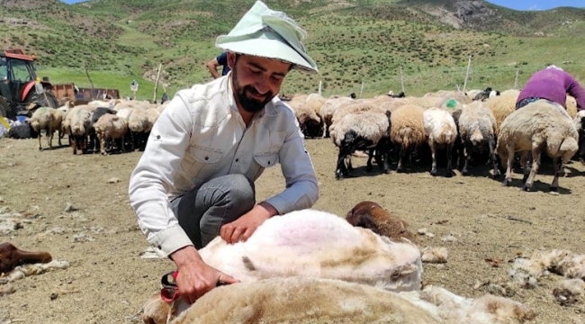 Anadolu'da Afganlardan sonra İranlı çoban dönemi