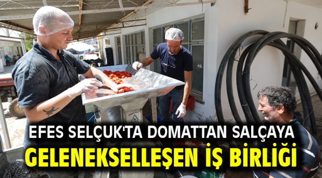 Efes Selçuk'ta Domattan Salçaya Gelenekselleşen İş Birliği