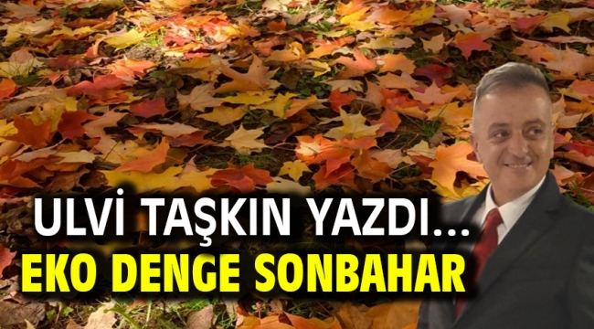 Eko Denge Sonbahar