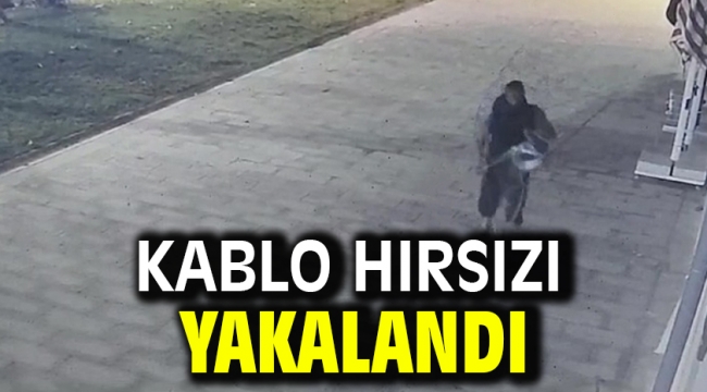 Kablo Hırsızı Yakalandı