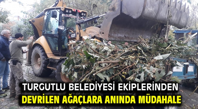 Turgutlu Belediyesi Ekiplerinden Devrilen Ağaçlara Anında Müdahale 