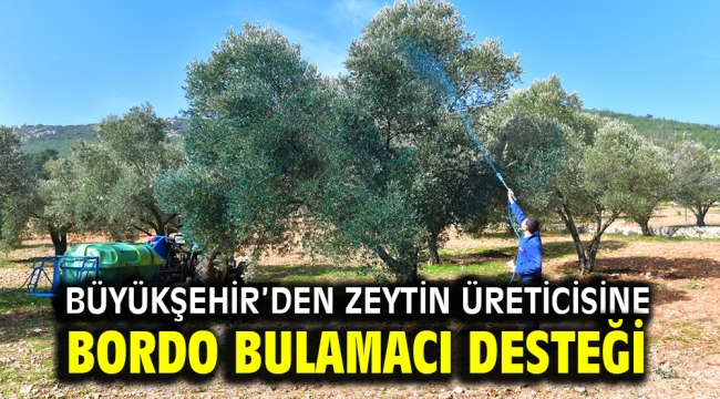 Büyükşehir'den zeytin üreticisine bordo bulamacı desteği