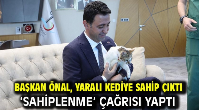 Başkan Önal, yaralı kediye sahip çıktı 'sahiplenme' çağrısı yaptı