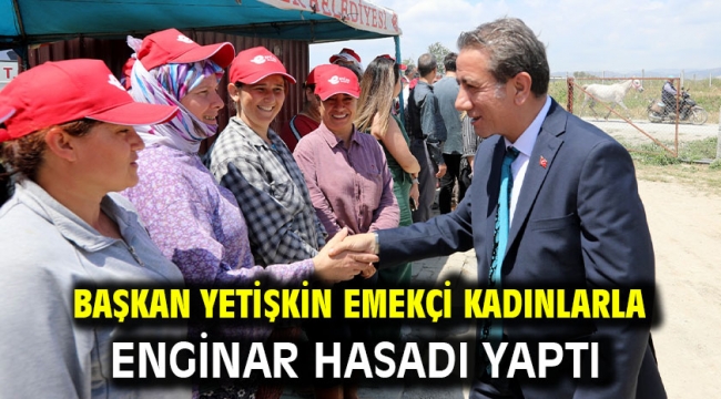 Başkan Yetişkin Emekçi Kadınlarla Enginar Hasadı Yaptı