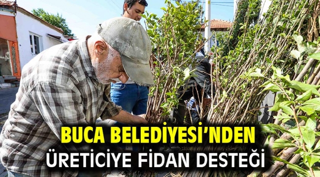 Buca Belediyesi'nden üreticiye fidan desteği