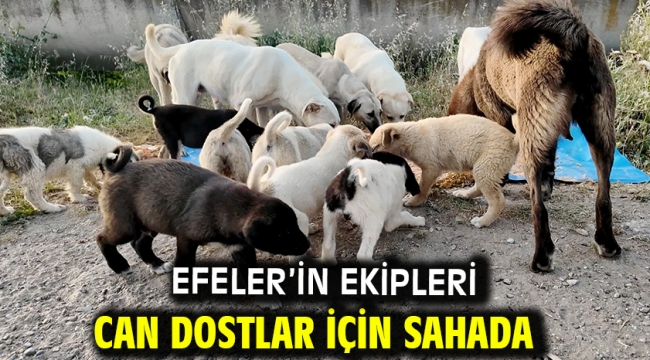 Efeler'in Ekipleri Can Dostlar İçin Sahada