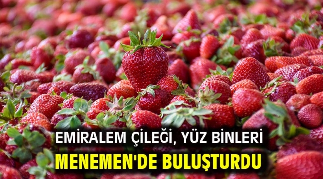 EMİRALEM ÇİLEĞİ, YÜZ BİNLERİ MENEMEN'DE BULUŞTURDU