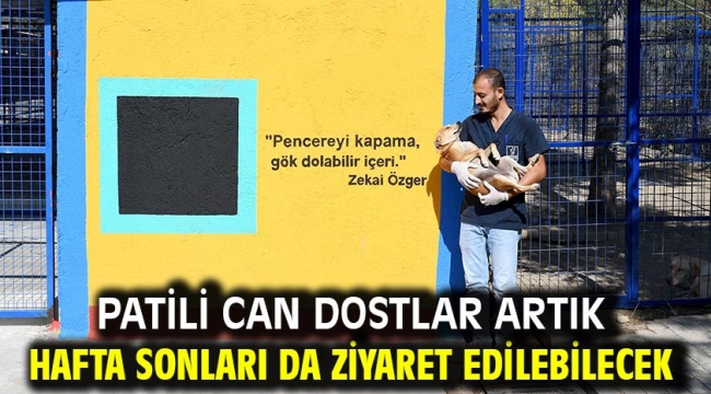  PATİLİ CAN DOSTLAR ARTIK HAFTA SONLARI DA ZİYARET EDİLEBİLECEK