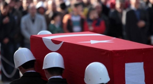 Van'da yıldırım düşmesi sonucu 1 korucu şehit oldu