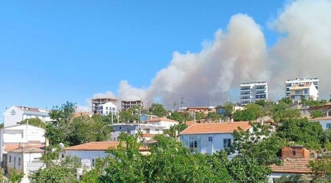 anakkale ve İzmir'de orman yangını: Havadan ve karadan müdahale... 