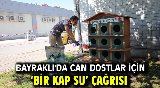 Bayraklı'da can dostlar için 'bir kap su' çağrısı