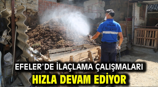 Efeler'de İlaçlama Çalışmaları Hızla Devam Ediyor