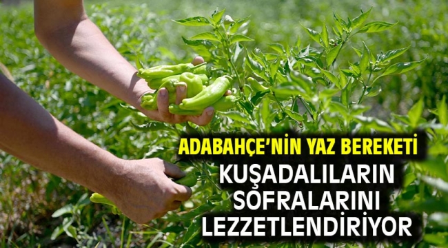 Adabahçe'nin Yaz Bereketi Kuşadalıların Sofralarını Lezzetlendiriyor