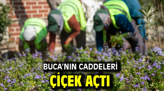 Buca'nın caddeleri çiçek açtı