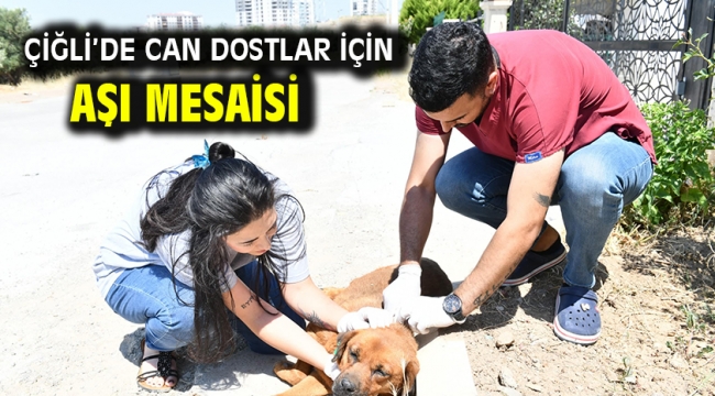 Çiğli'de Can Dostlar için Aşı Mesaisi