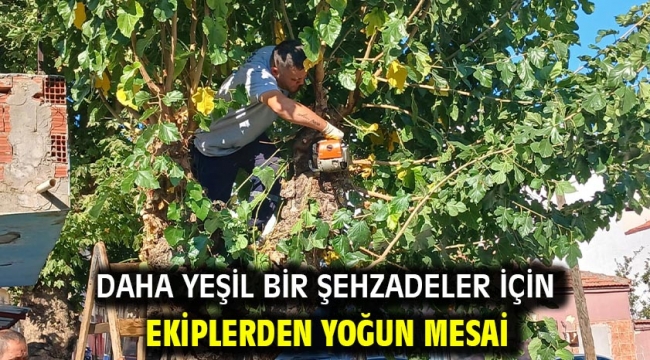 Daha Yeşil Bir Şehzadeler İçin Ekiplerden Yoğun Mesai