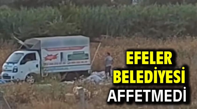 Efeler Belediyesi Affetmedi