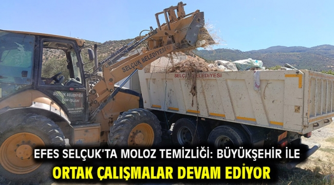 Efes Selçuk'ta Moloz Temizliği: Büyükşehir İle Ortak Çalışmalar Devam Ediyor