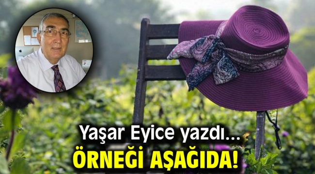 ÖRNEĞİ AŞAĞIDA!