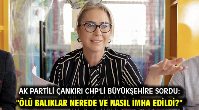 AK Partili Çankırı CHP'li Büyükşehire Sordu: "Ölü balıklar nerede ve nasıl imha edildi?"