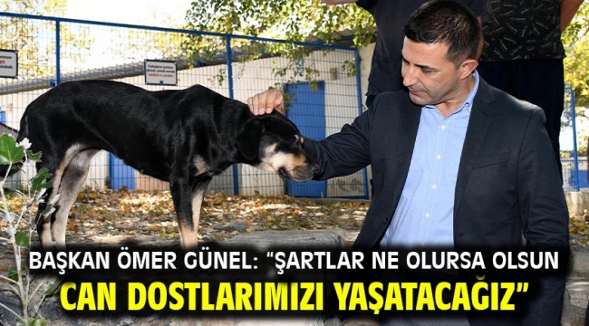 Başkan Ömer Günel: "Şartlar Ne Olursa Olsun Can Dostlarımızı Yaşatacağız"