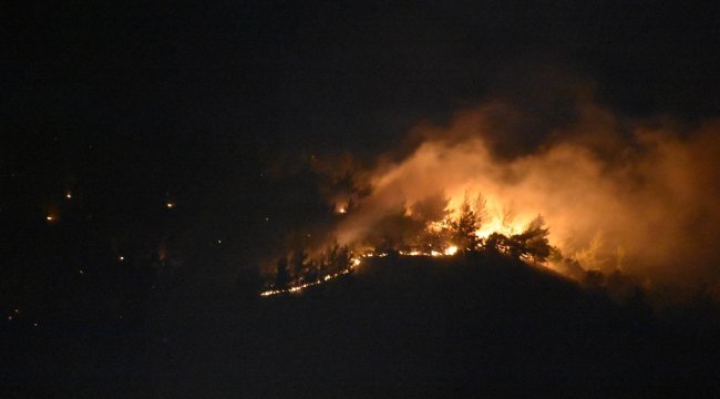 İzmir'deki orman yangını kontrol altına alındı