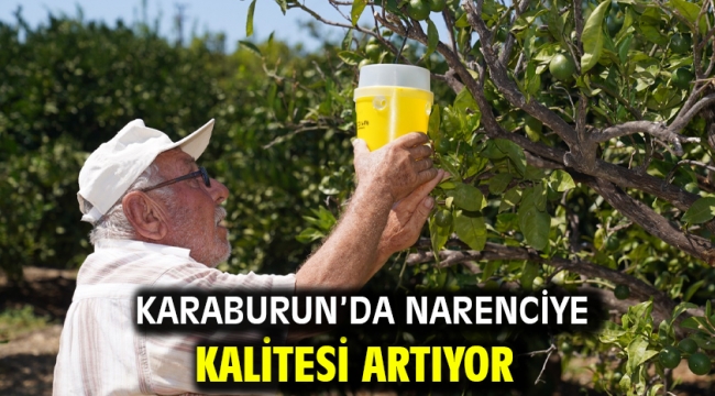 Karaburun'da narenciye kalitesi artıyor 