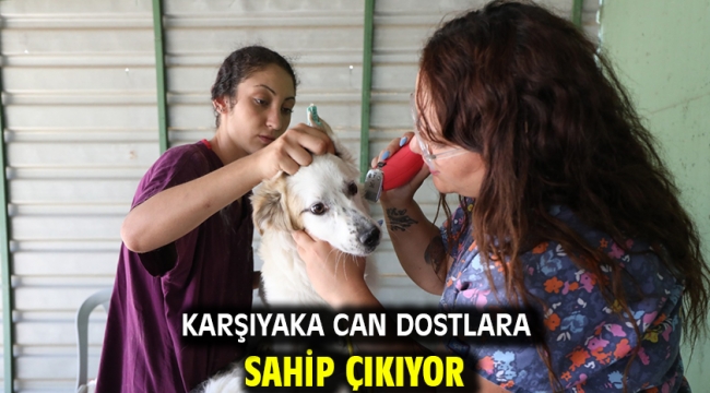 Karşıyaka can dostlara sahip çıkıyor