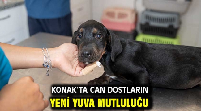 Konak'ta can dostların yeni yuva mutluluğu