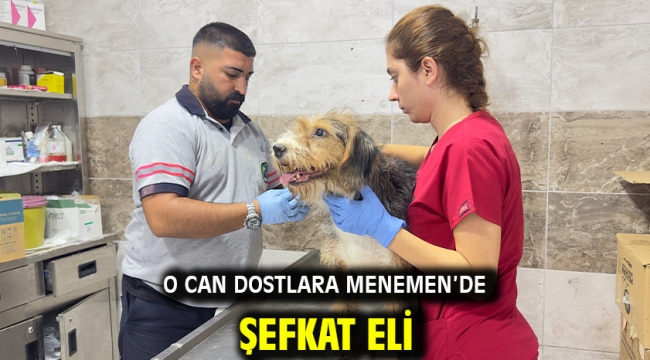 O can dostlara Menemen'de şefkat eli