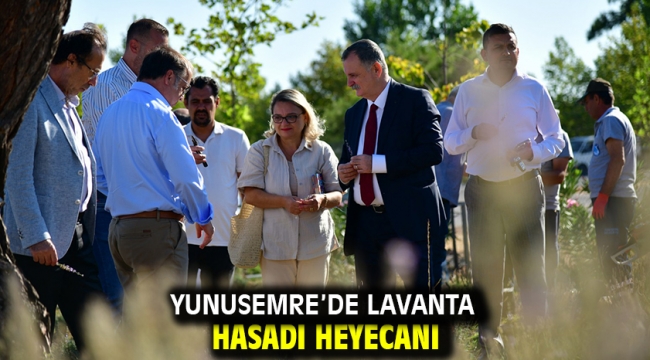 Yunusemre'de Lavanta Hasadı Heyecanı