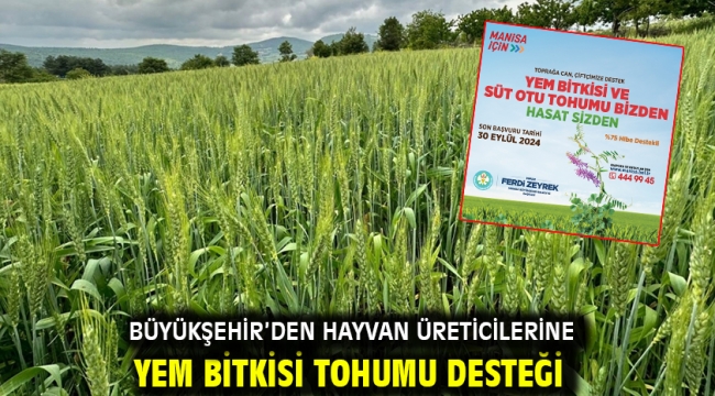 Büyükşehir'den hayvan üreticilerine yem bitkisi tohumu desteği