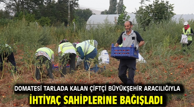 Domatesi tarlada kalan çiftçi Büyükşehir aracılığıyla ihtiyaç sahiplerine bağışladı