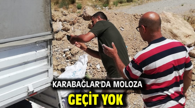 Karabağlar'da moloza geçit yok