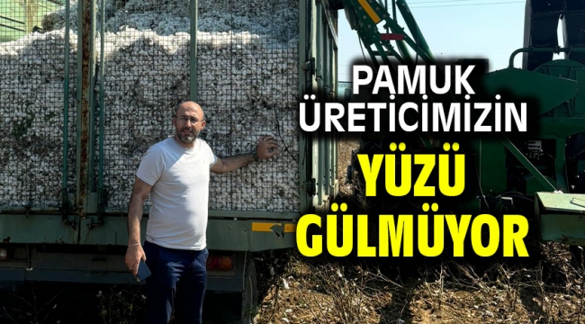 Pamuk Üreticimizin Yüzü Gülmüyor